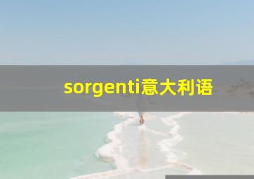 sorgenti意大利语