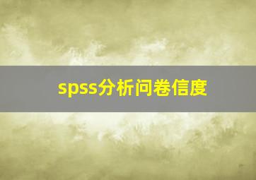 spss分析问卷信度