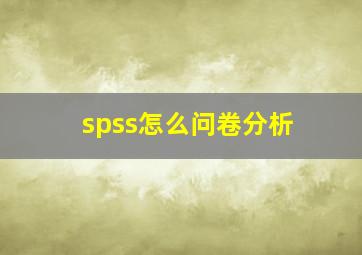 spss怎么问卷分析