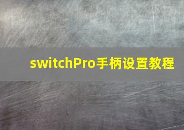 switchPro手柄设置教程