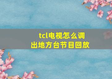 tcl电视怎么调出地方台节目回放