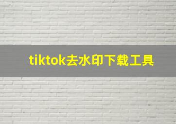 tiktok去水印下载工具