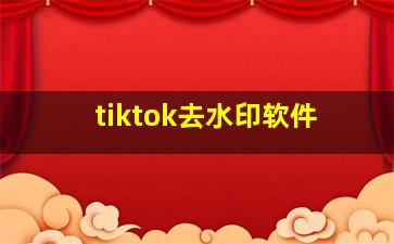 tiktok去水印软件