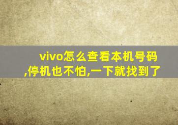 vivo怎么查看本机号码,停机也不怕,一下就找到了