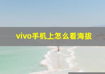 vivo手机上怎么看海拔