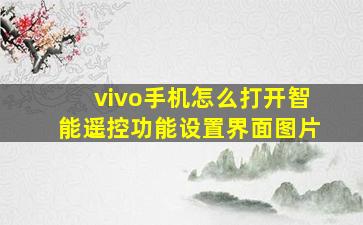 vivo手机怎么打开智能遥控功能设置界面图片