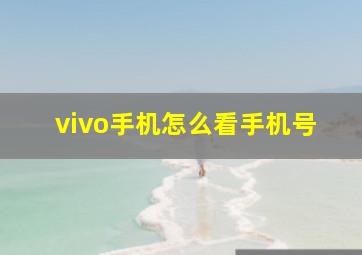 vivo手机怎么看手机号