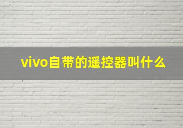 vivo自带的遥控器叫什么