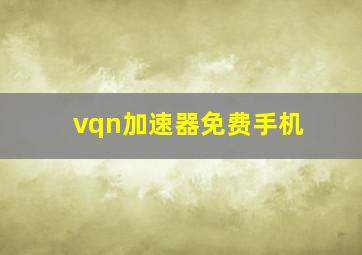 vqn加速器免费手机