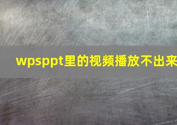 wpsppt里的视频播放不出来