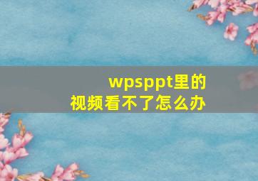 wpsppt里的视频看不了怎么办