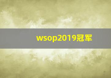 wsop2019冠军