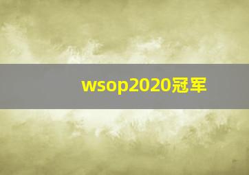 wsop2020冠军