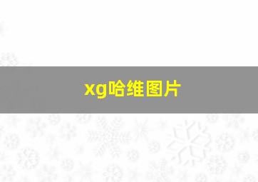 xg哈维图片