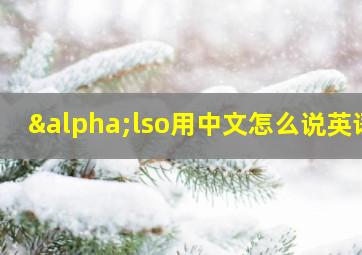 αlso用中文怎么说英语