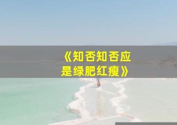 《知否知否应是绿肥红瘦》