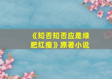 《知否知否应是绿肥红瘦》原著小说