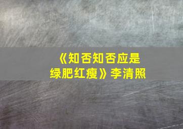 《知否知否应是绿肥红瘦》李清照