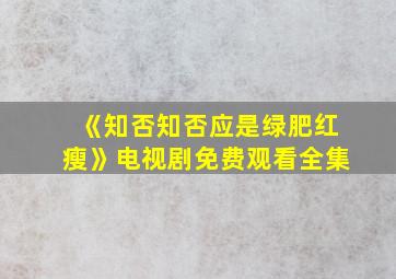 《知否知否应是绿肥红瘦》电视剧免费观看全集