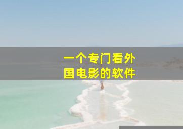 一个专门看外国电影的软件