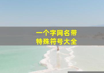 一个字网名带特殊符号大全