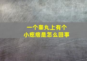 一个睾丸上有个小疙瘩是怎么回事