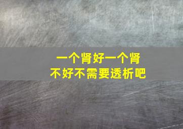 一个肾好一个肾不好不需要透析吧