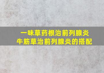 一味草药根治前列腺炎牛筋草治前列腺炎的搭配