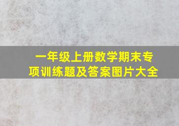 一年级上册数学期末专项训练题及答案图片大全