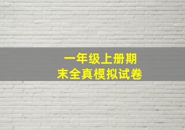 一年级上册期末全真模拟试卷