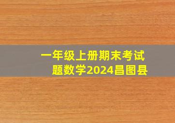 一年级上册期末考试题数学2024昌图县