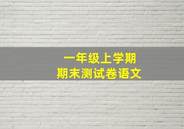 一年级上学期期末测试卷语文