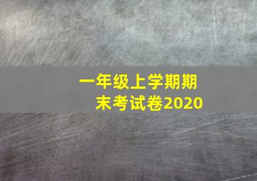 一年级上学期期末考试卷2020