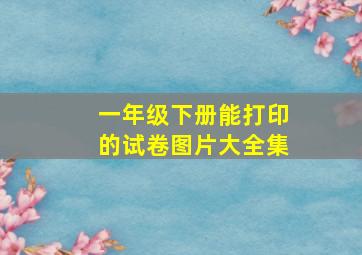 一年级下册能打印的试卷图片大全集