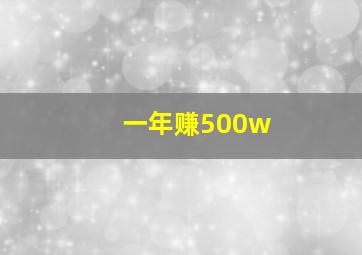 一年赚500w