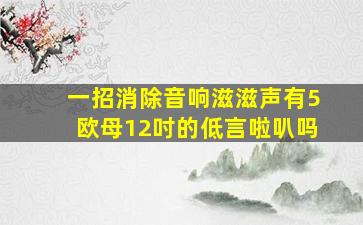 一招消除音响滋滋声有5欧母12吋的低言啦叭吗