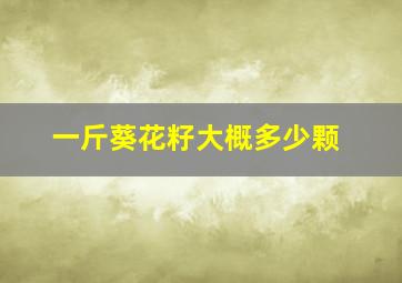 一斤葵花籽大概多少颗