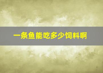 一条鱼能吃多少饲料啊