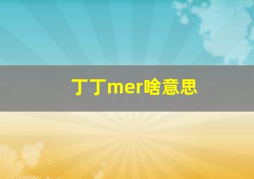 丁丁mer啥意思