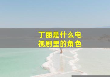 丁丽是什么电视剧里的角色