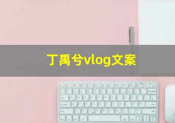 丁禹兮vlog文案