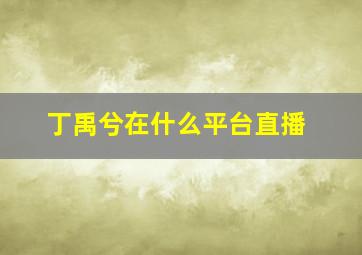 丁禹兮在什么平台直播