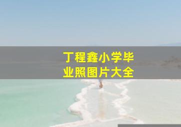 丁程鑫小学毕业照图片大全