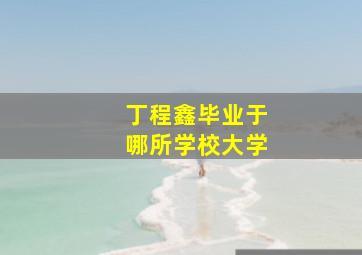 丁程鑫毕业于哪所学校大学