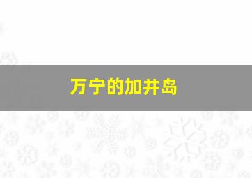 万宁的加井岛