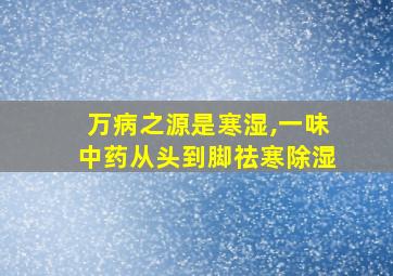 万病之源是寒湿,一味中药从头到脚祛寒除湿