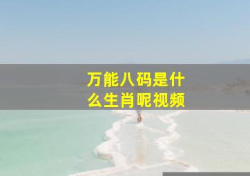 万能八码是什么生肖呢视频