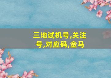 三地试机号,关注号,对应码,金马