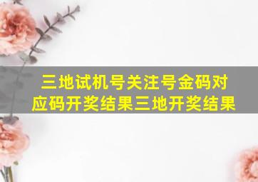 三地试机号关注号金码对应码开奖结果三地开奖结果