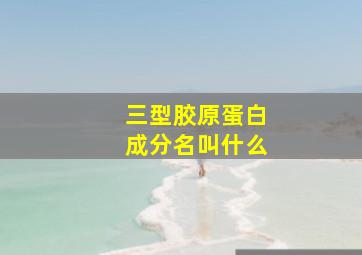 三型胶原蛋白成分名叫什么